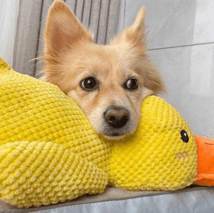 Neslemy® Calming Duck Toy (✔️ Non-Toxic Chew-Resistant Fabric)