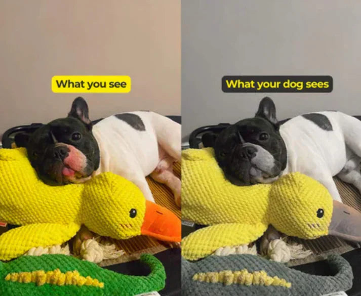 Neslemy® Calming Duck Toy (✔️ Non-Toxic Chew-Resistant Fabric)