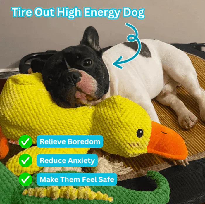Neslemy® Calming Duck Toy (✔️ Non-Toxic Chew-Resistant Fabric)